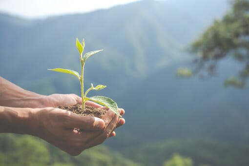 Los 10 servicios que debe ofrecer un bufete de abogados en materia de medio ambiente
