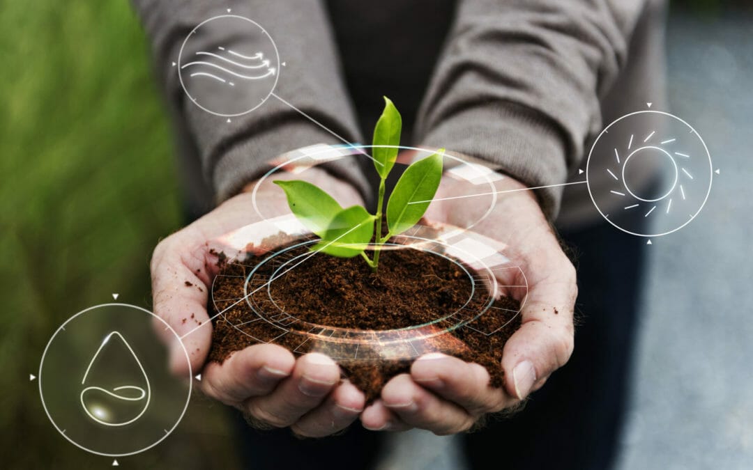 Abogado ambiental en Quito: Protegiendo el entorno y la responsabilidad social de tu negocio