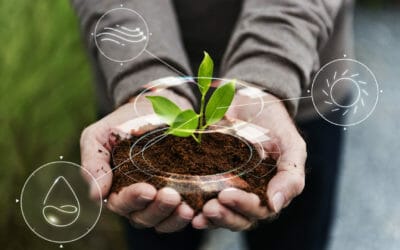 Los servicios que ofrece un estudio jurídico de abogados especializados en medio ambiente en Ecuador