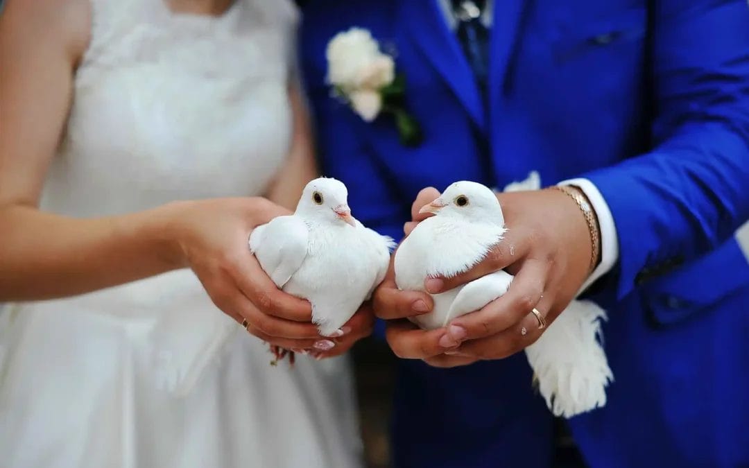 Diferencias entre capitulaciones y separación de bienes en Ecuador